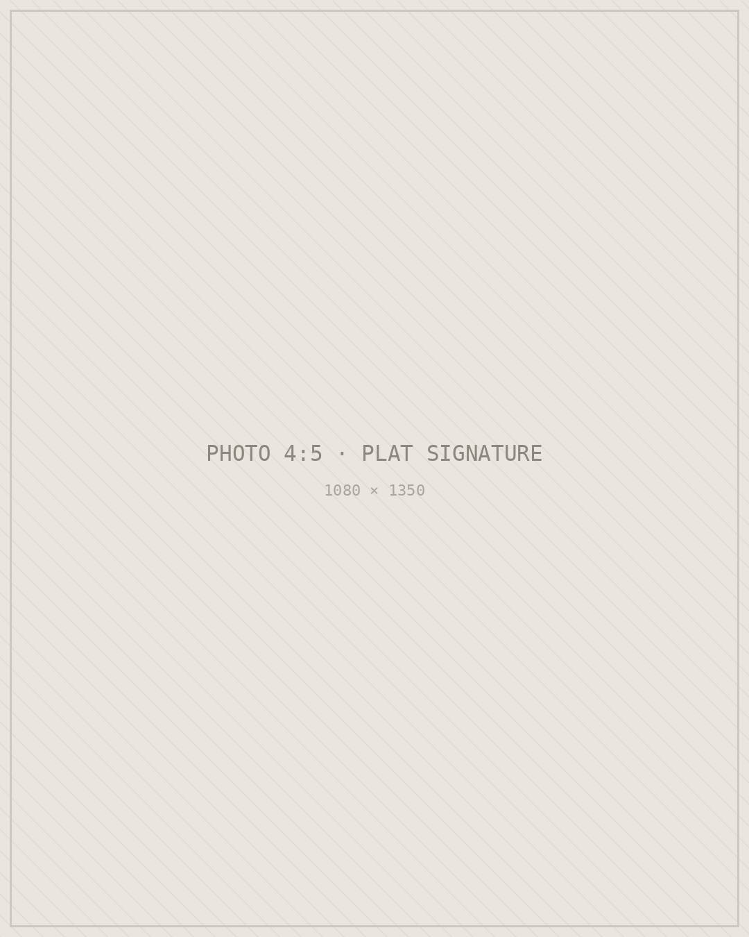 Plat signature photographié en sortie de cuisine